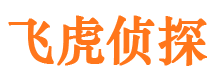 东至侦探公司